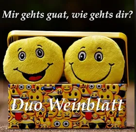 CD: Duo Weinblatt - Mir gehts guat wie gehts dir, plugged rec, 2016